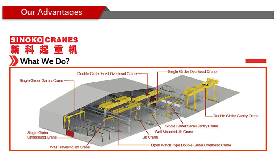 Sinokocranes Do you know the historical origin of cranes?